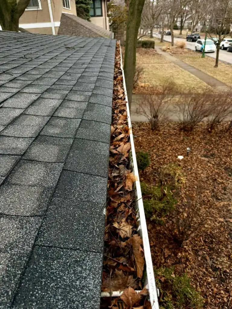 Gutter Services before