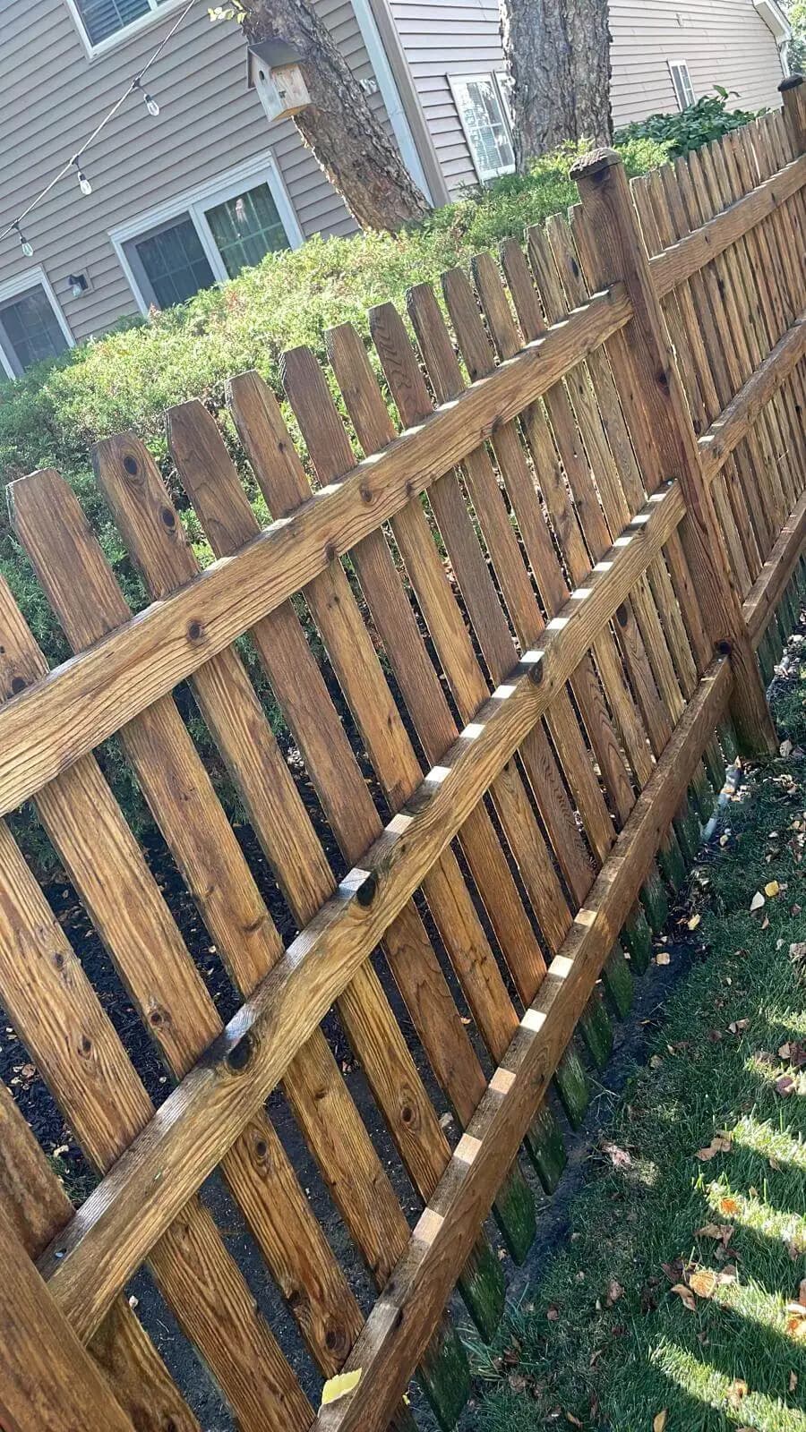 Pressure & Soft Washing after