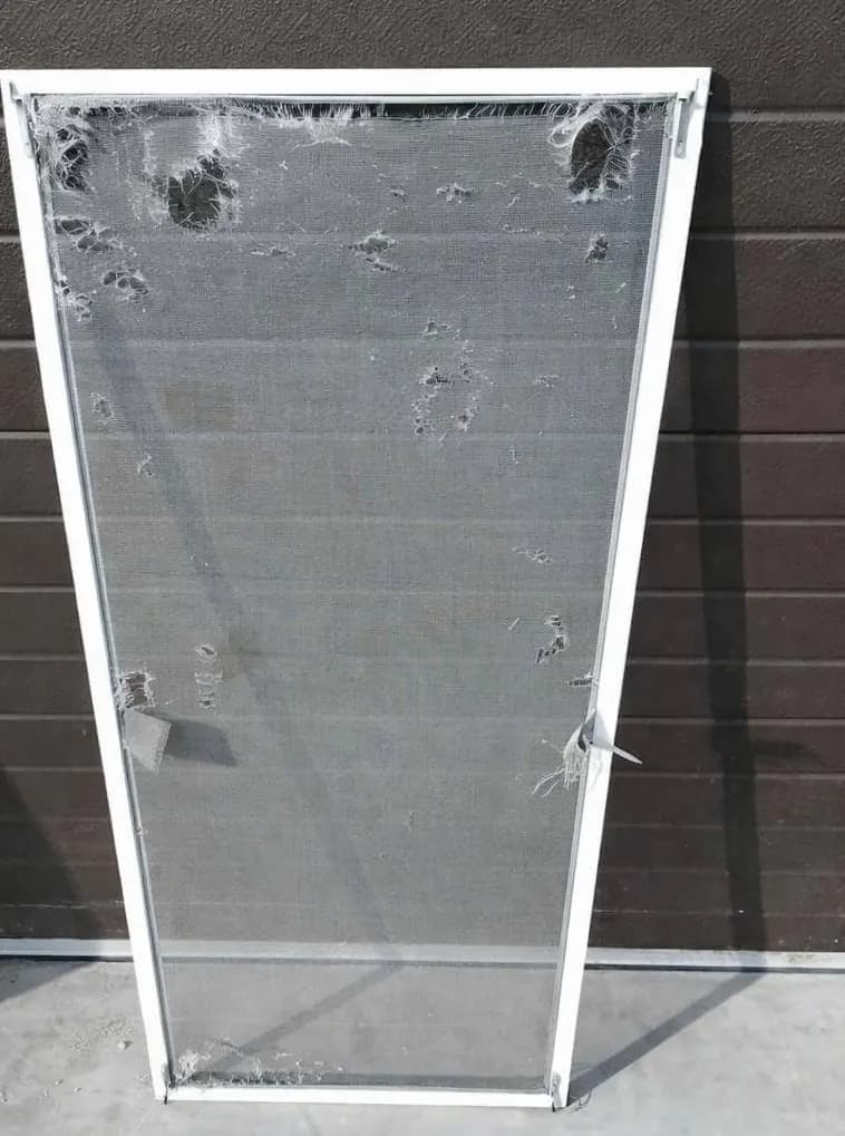 Window & Door Screen Replacement before